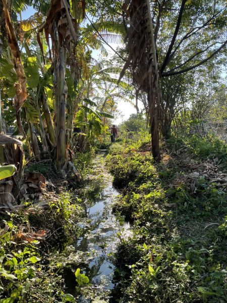 檔案:水路.jpg
