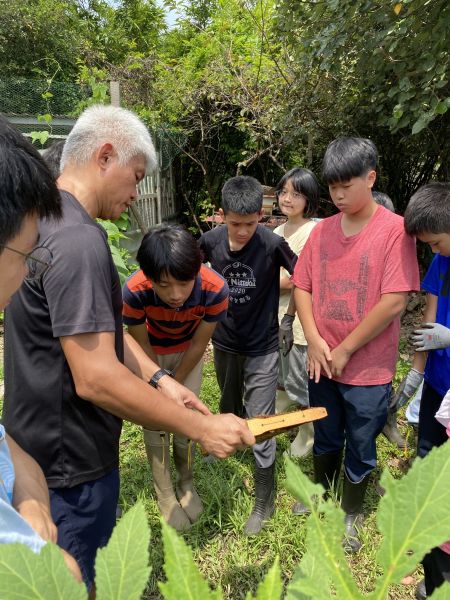 檔案:蒙特梭利參觀養蜂.jpg