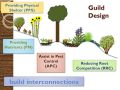 植物群（plant guilds）群設計