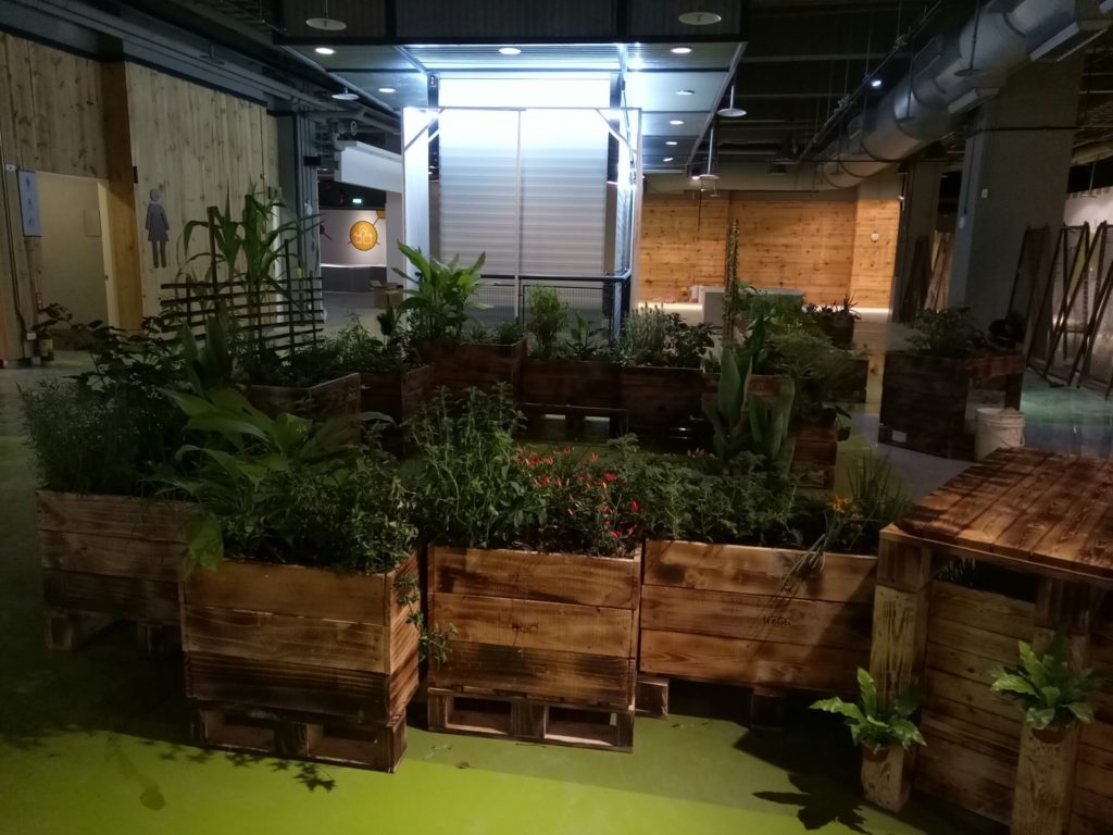 新竹市環保局「仿生菜畦」訓練工作坊
