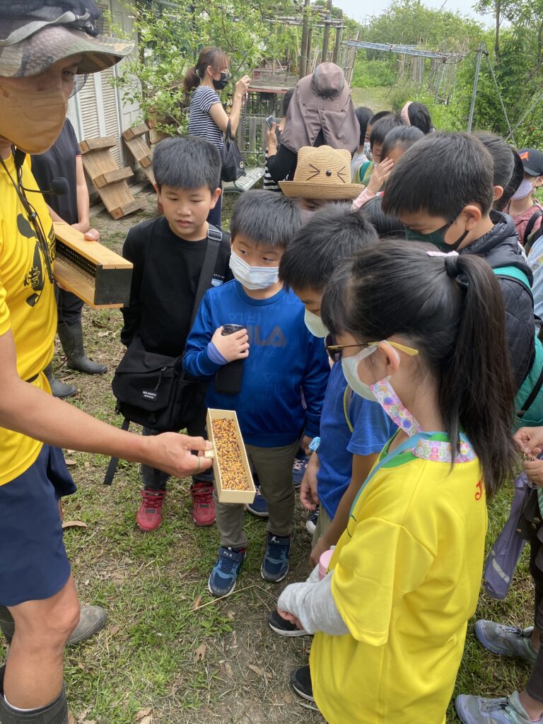 食農教育–與蜜蜂的親密接觸