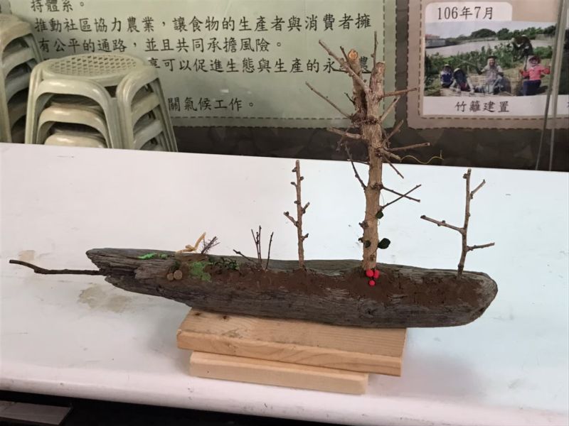 檔案:食物森林模型.jpg
